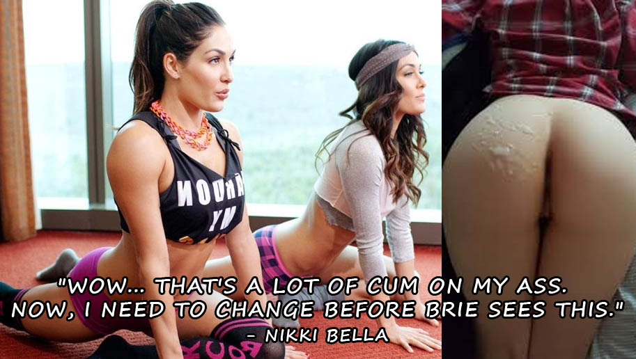 Bella Twins Anal Sex - WWE divas in erotic fan fiction (kinky sex stories) - Celebrity nude